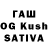 Галлюциногенные грибы Psilocybine cubensis Chubark
