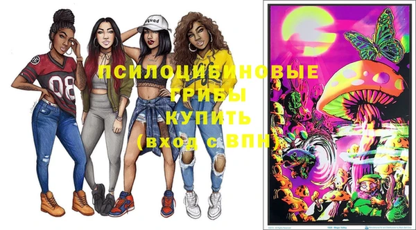 винт Алзамай