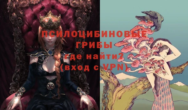 винт Алзамай