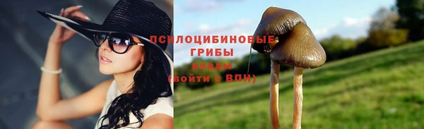 винт Алзамай