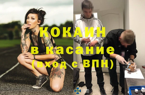 винт Алзамай